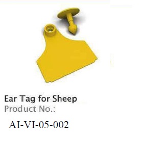EAR TAG FOR SHEEP